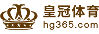 Logo 有球体育